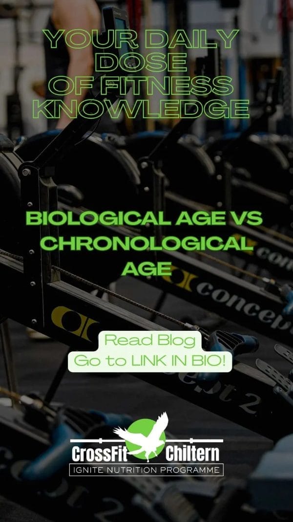 Biological Age vs. Chronological Age: Reversing the Metabolic Slowdown