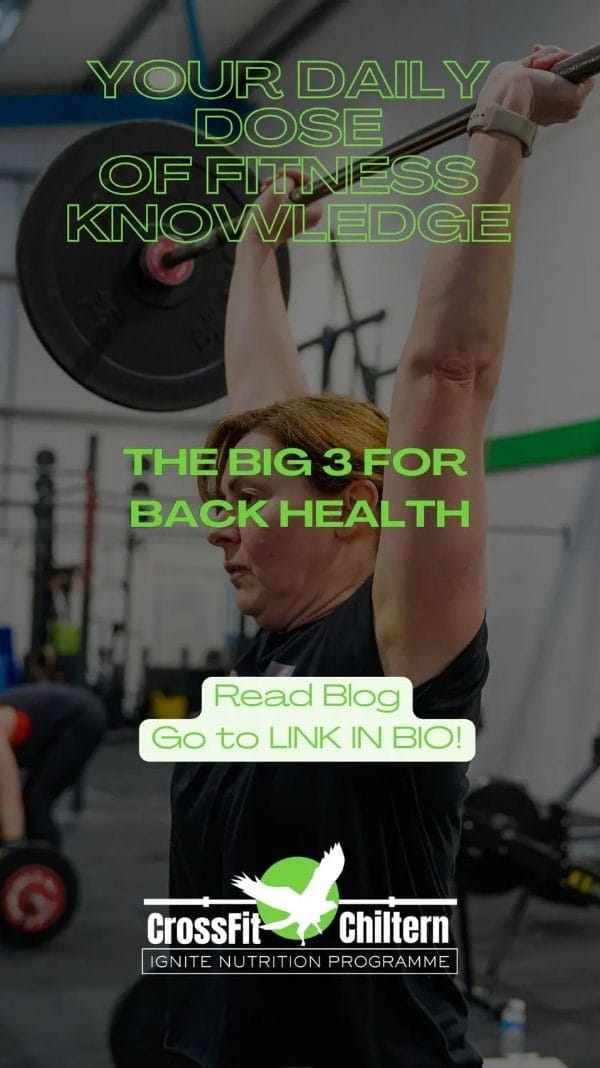 The "Big 3" for Back Health: Moving Beyond the Bird-Dog