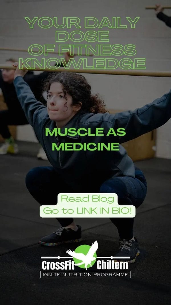 Muscle as an Endocrine Organ: The Chemistry of Longevity