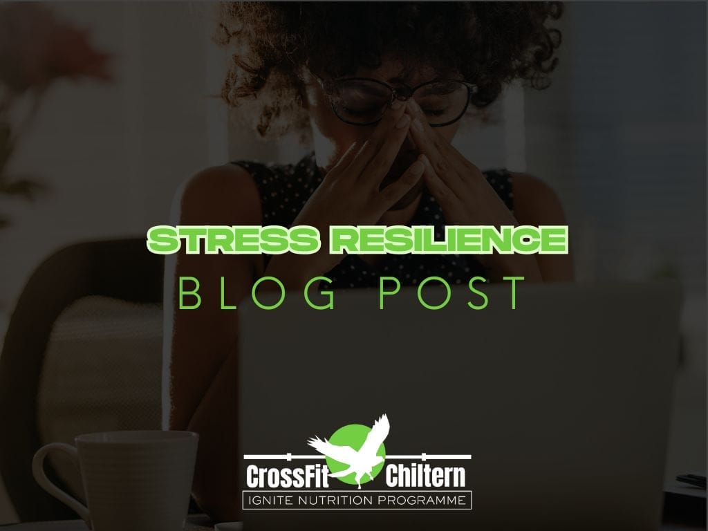Stress Resilience: Tools for a Calmer You