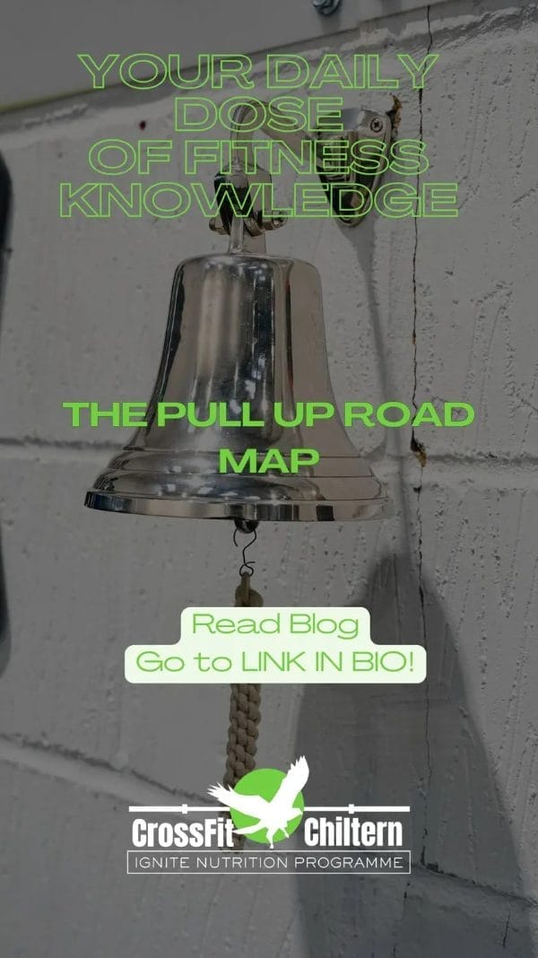 Pull-ups for the General Gym-Goer: The Roadmap to Your First Rep