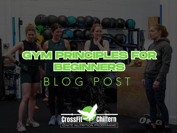 4 Must-Know Principles for Beginners in the Gym