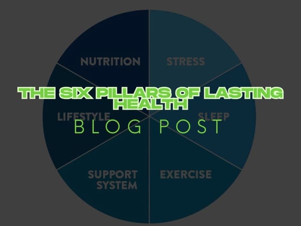 The Six Pillars of Lasting Health: A Deeper Dive into CrossFit Chiltern's Holistic Nutrition Approach